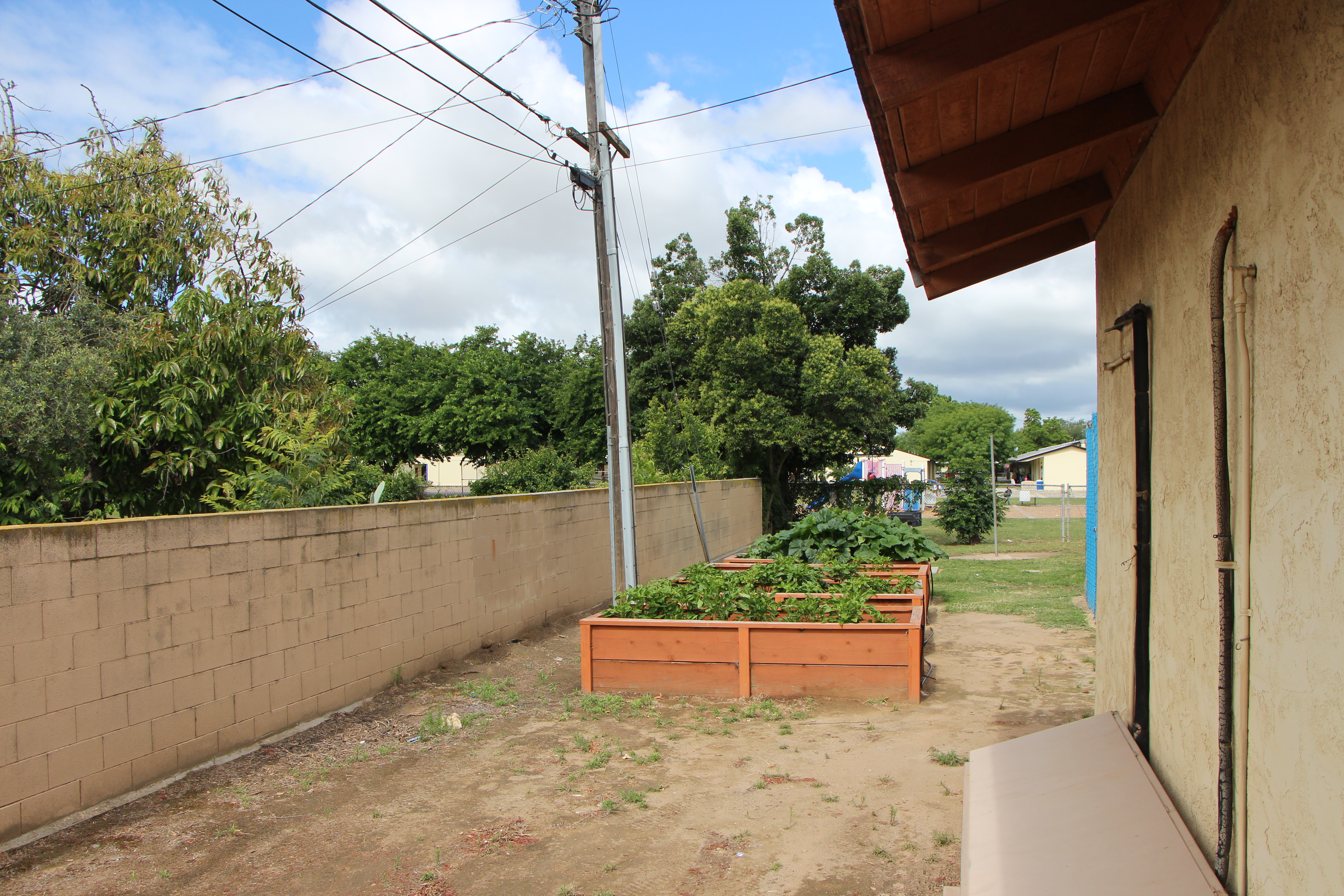 Project #14: Inside Out Community Garden
