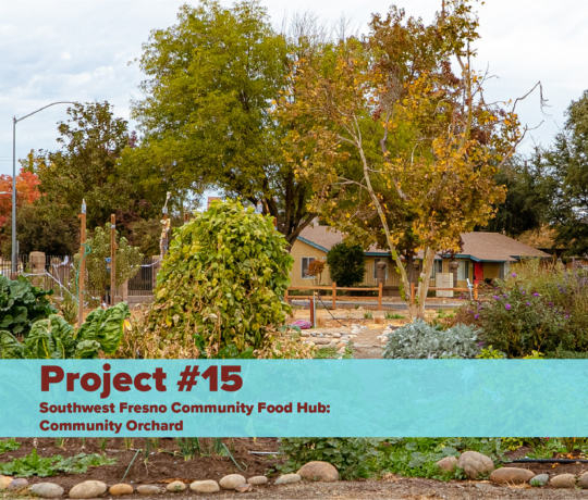 Southwest Fresno Community Food Hub: Community Orchard