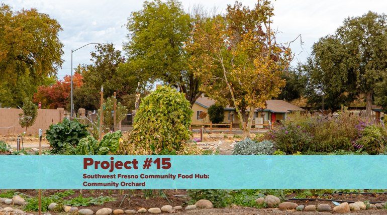 Southwest Fresno Community Food Hub: Community Orchard