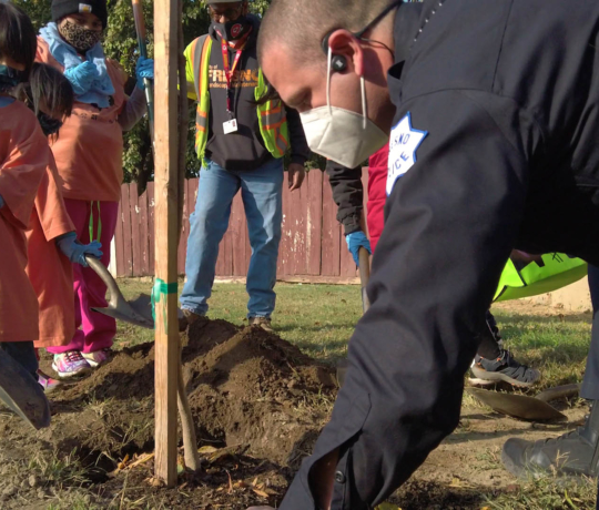 Southwest Urban Forest Expansion