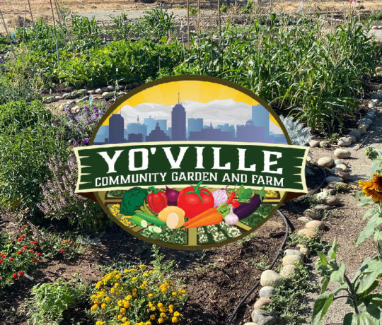 Yosemite Village Permaculture Community Garden and Urban Farm Incubator