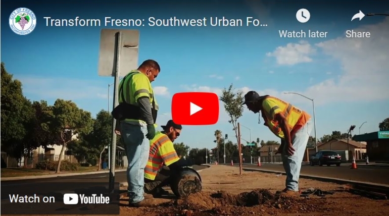 Transform Fresno: Southwest Urban Forest Expansion Program
