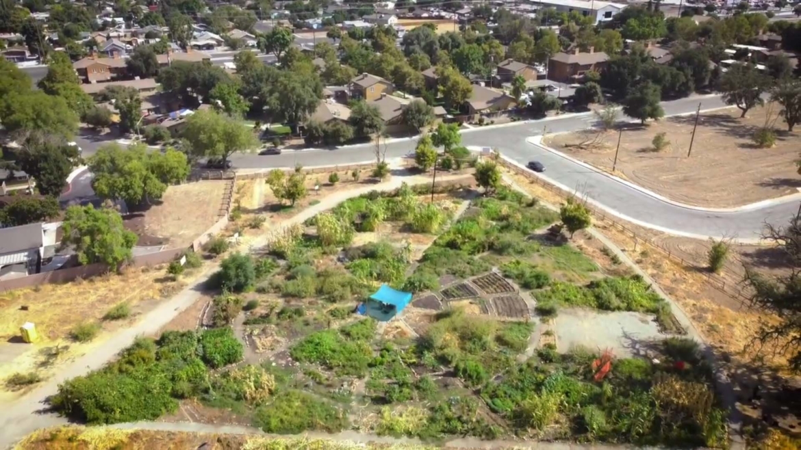 Yo’Ville Community Garden and Farm