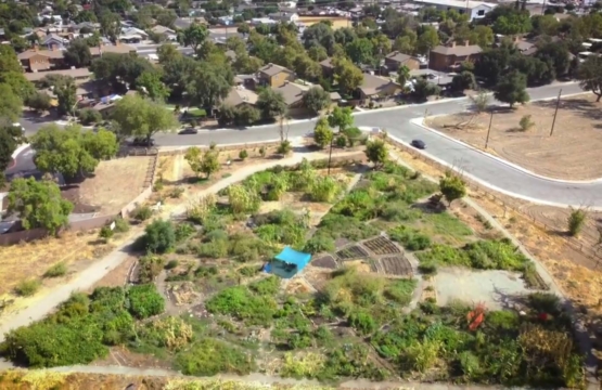 Yo’Ville Community Garden and Farm